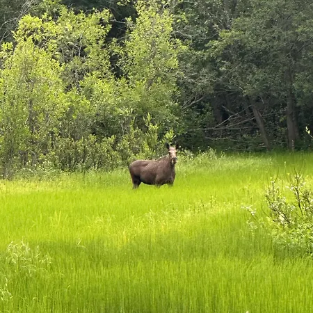 Tiny In A Peaceful, Part Of * Alta